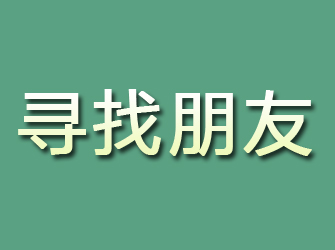 九龙寻找朋友